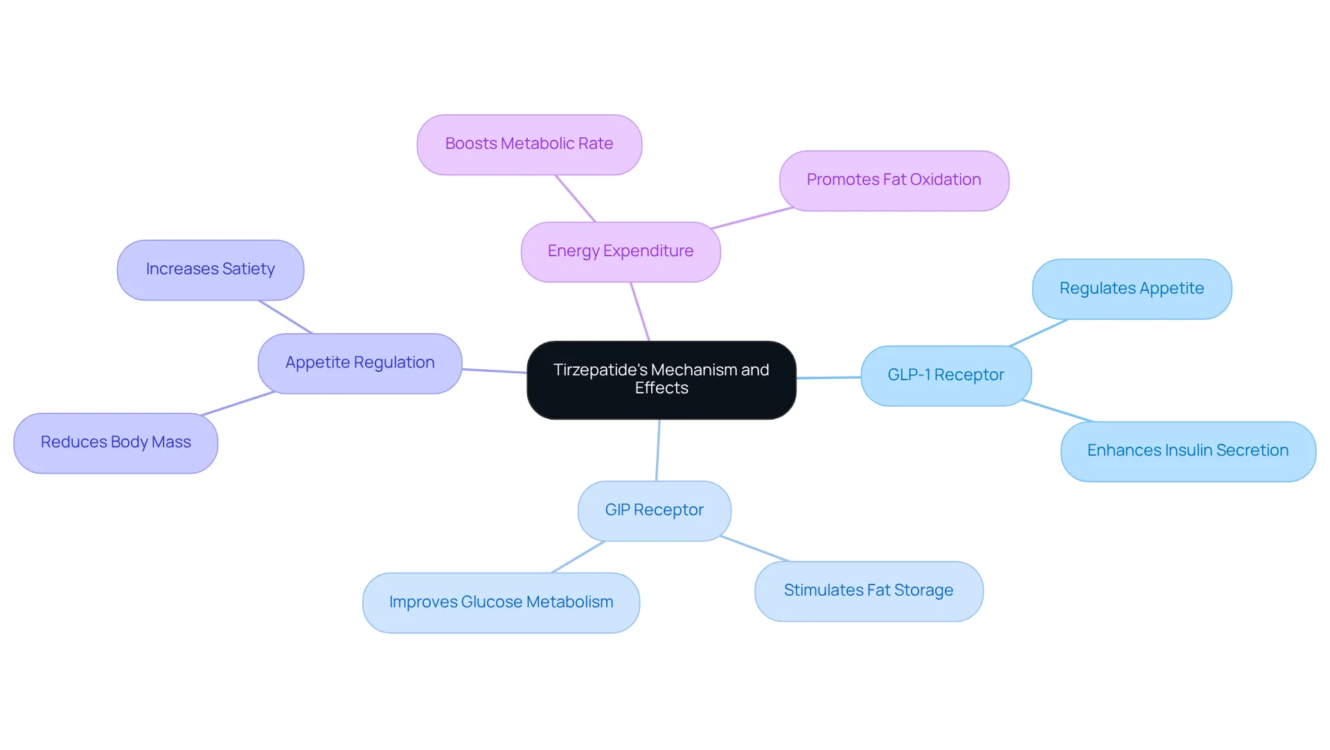 The central idea represents Tirzepatide's role in weight loss, with branches showing its key mechanisms and their effects. Follow the branches to see how these components work together to support your weight loss journey. The central idea represents Tirzepatide's role in weight loss, with branches showing its key mechanisms and their effects. Follow the branches to see how these components work together to support your weight loss journey.
