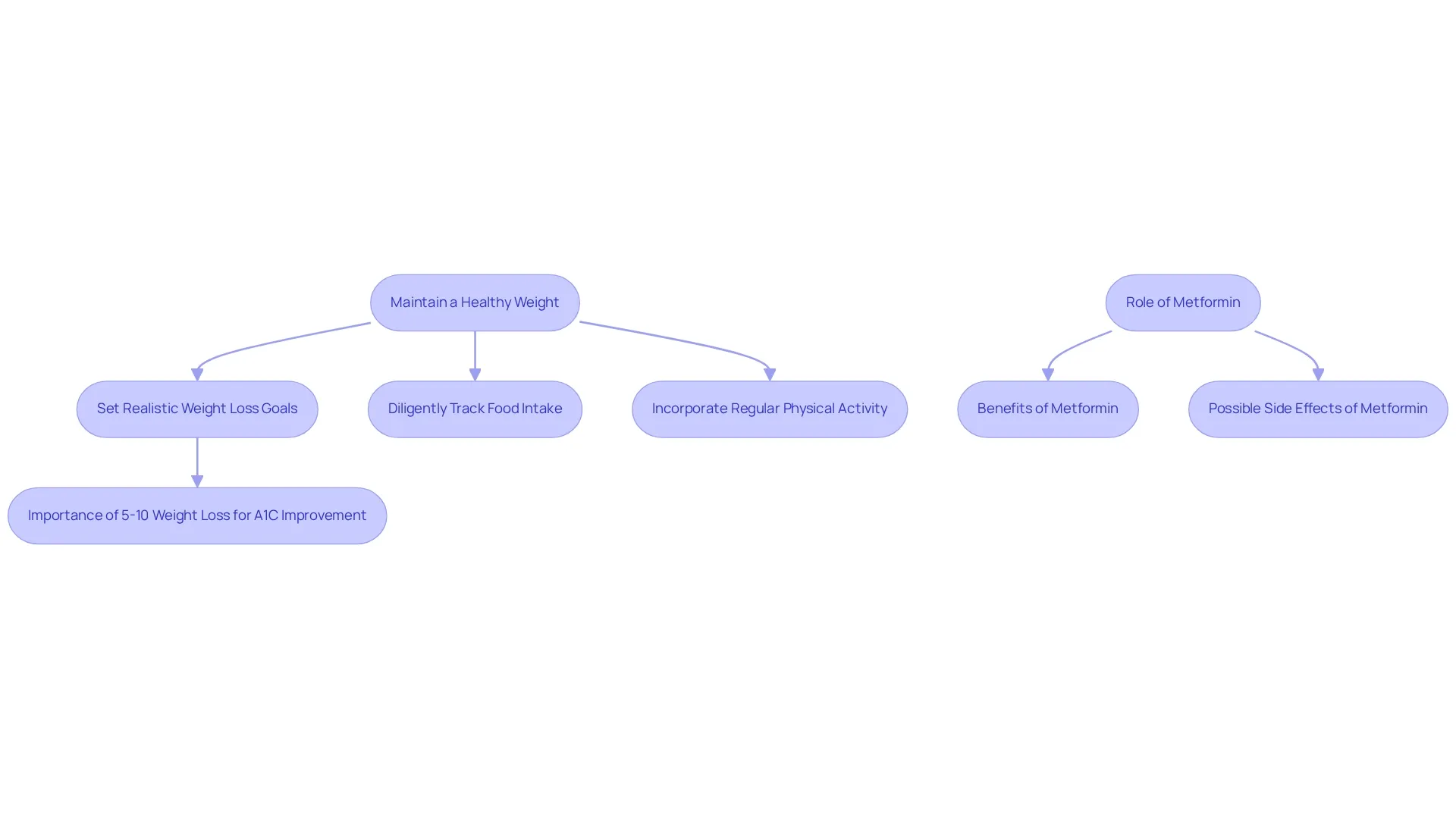Each box represents a strategy for weight management, with arrows indicating the flow and connection between steps. Side notes provide additional context on Metformin and its effects. Each box represents a strategy for weight management, with arrows indicating the flow and connection between steps. Side notes provide additional context on Metformin and its effects.