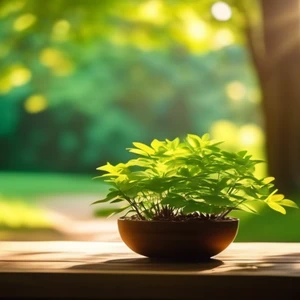Exploring Mindfulness Meditation Retreats
