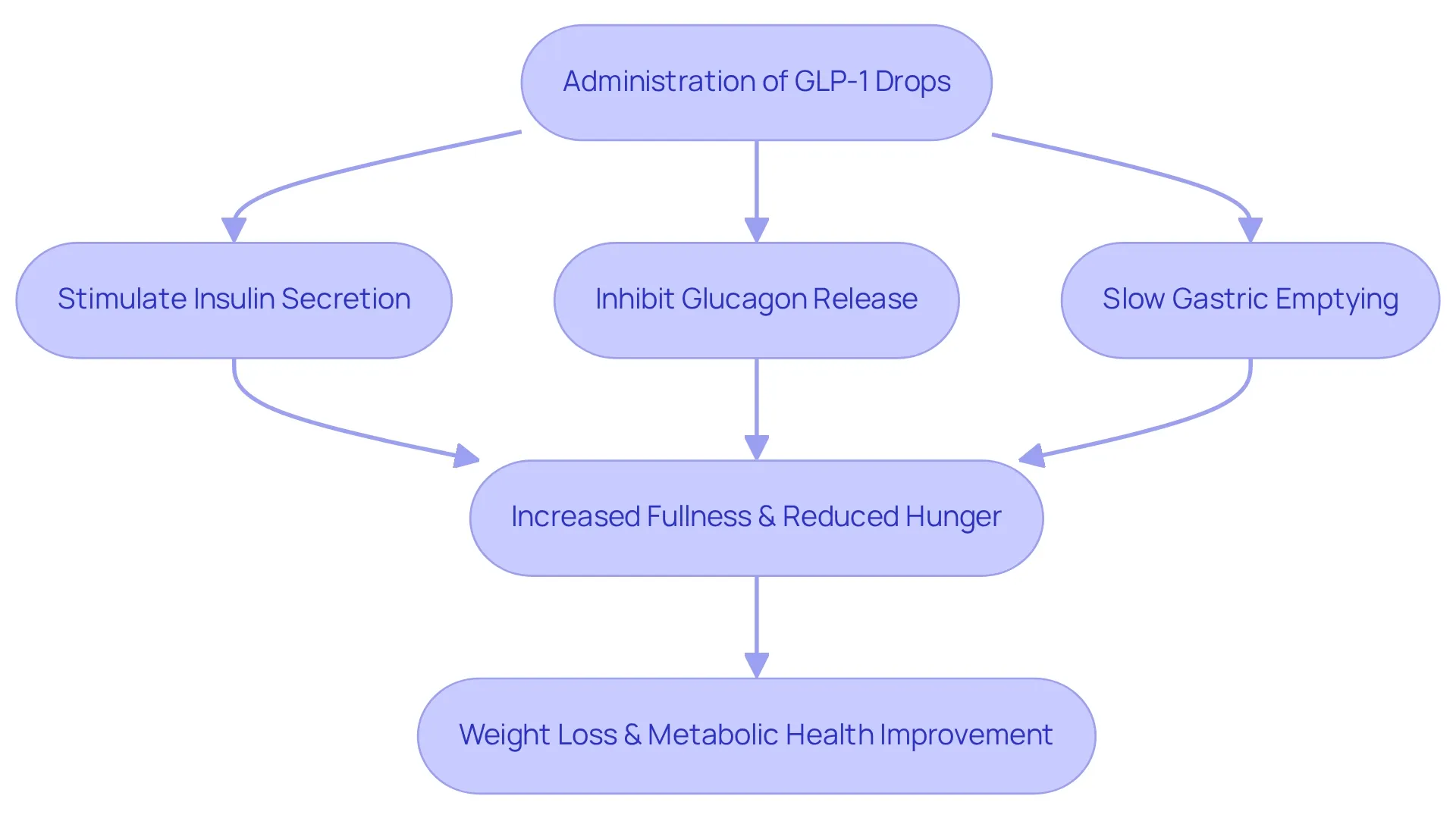 Follow the arrows to see how GLP-1 drops influence various bodily functions, leading to increased fullness and ultimately supporting weight loss.
